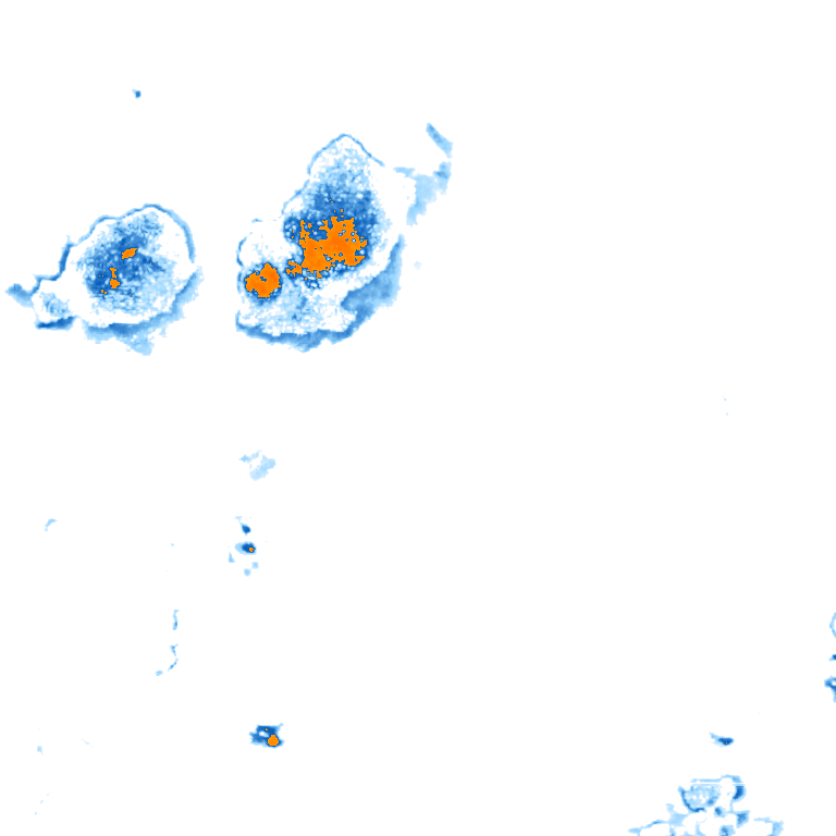 rain layer