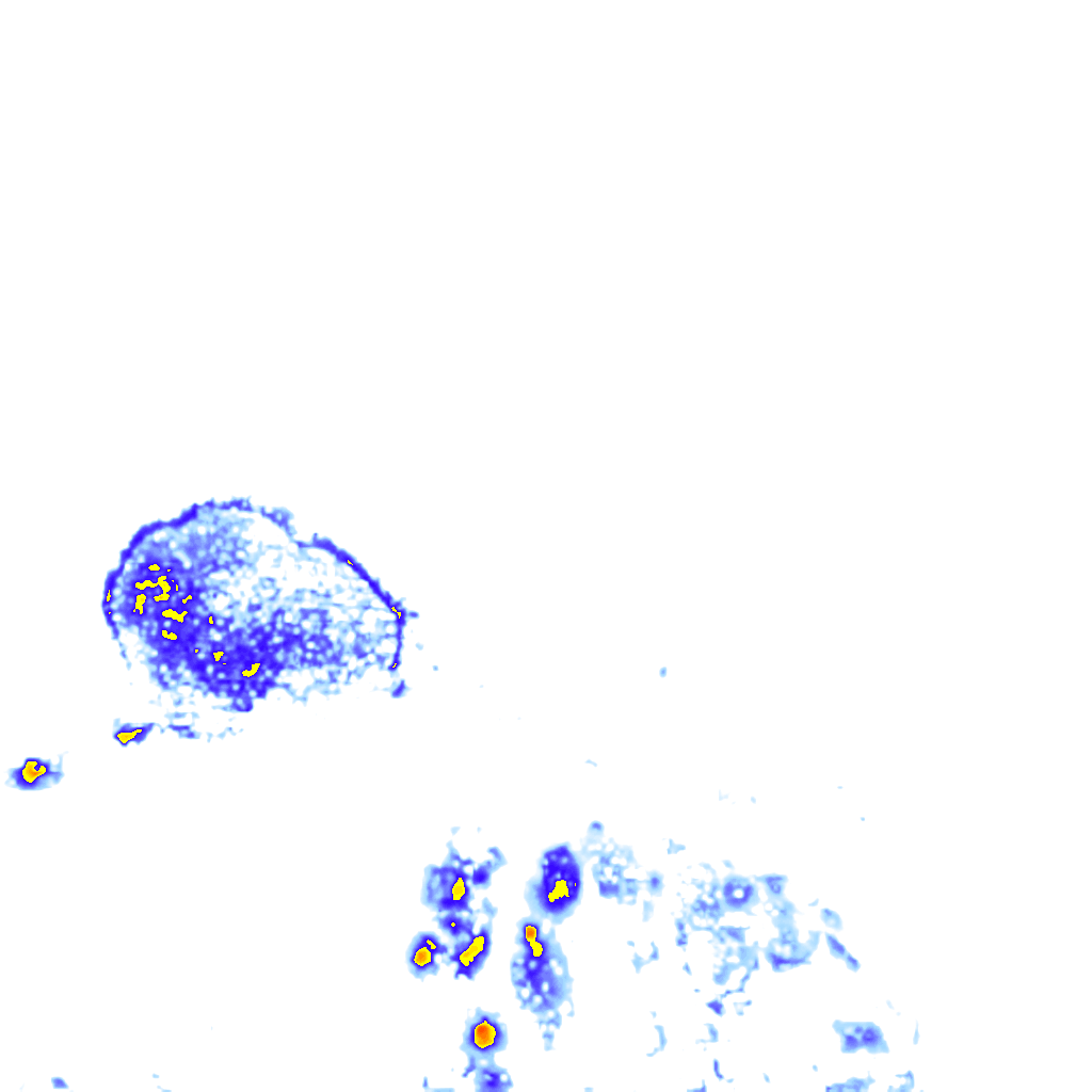Image Layer