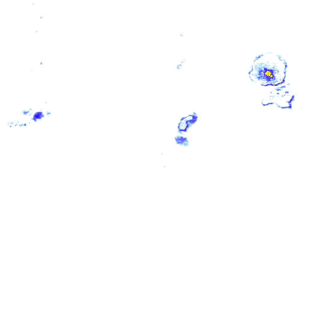 rainLayer
