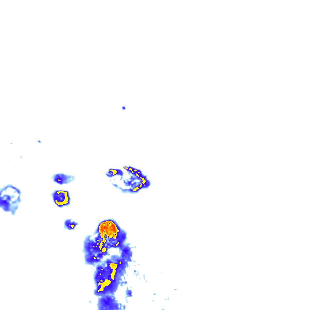 rainLayer