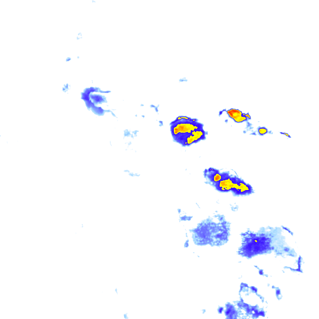 rainLayer