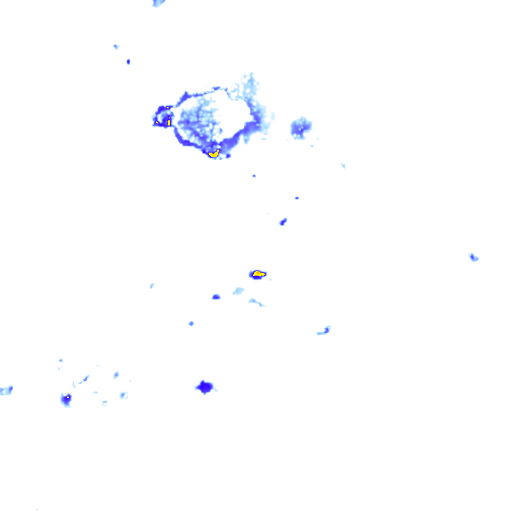 rainLayer