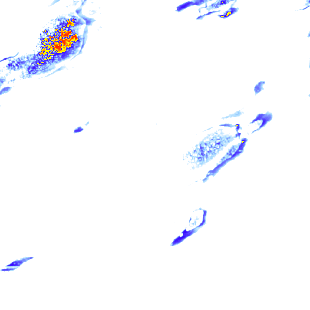 rainLayer