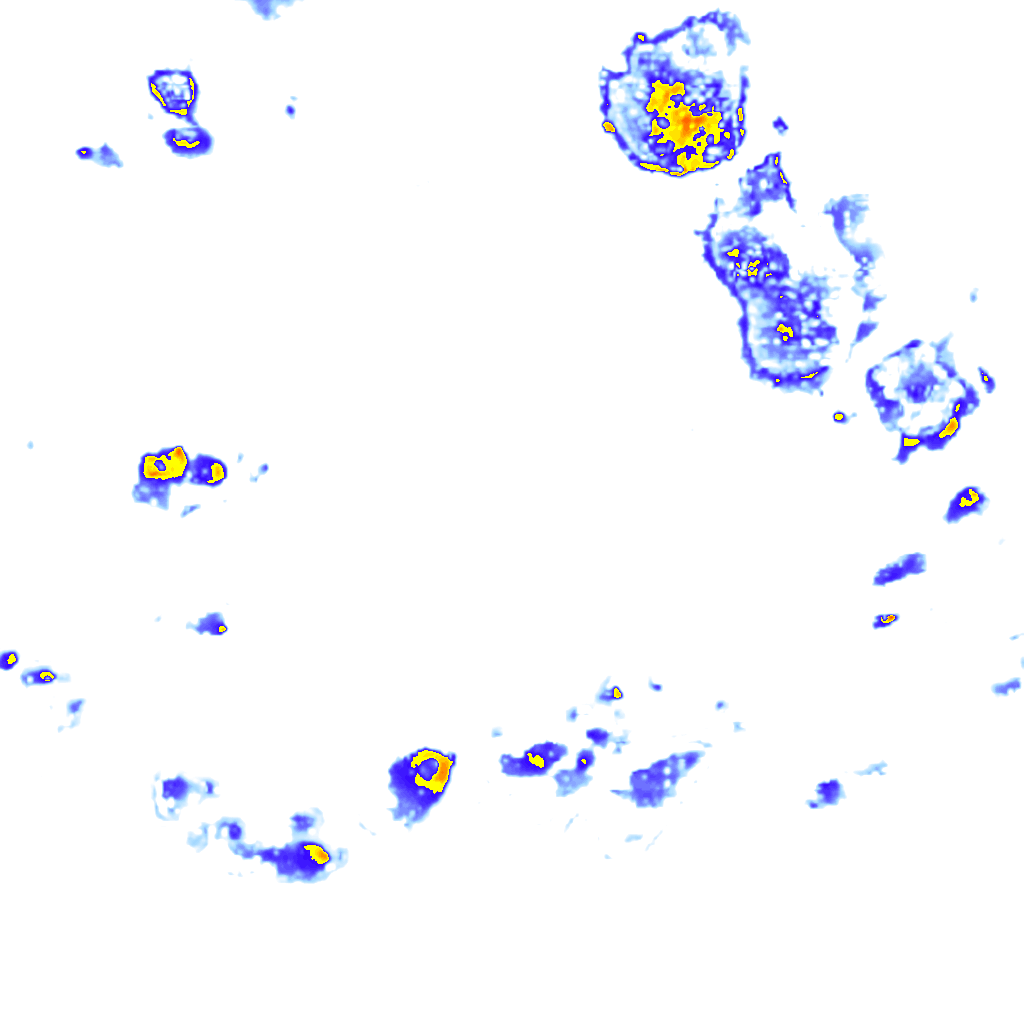 rainLayer
