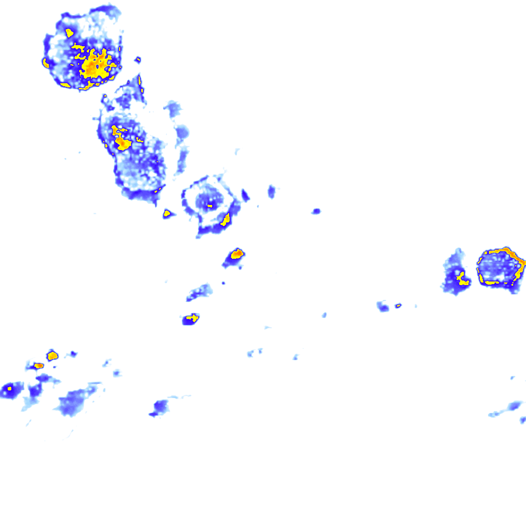 rainLayer
