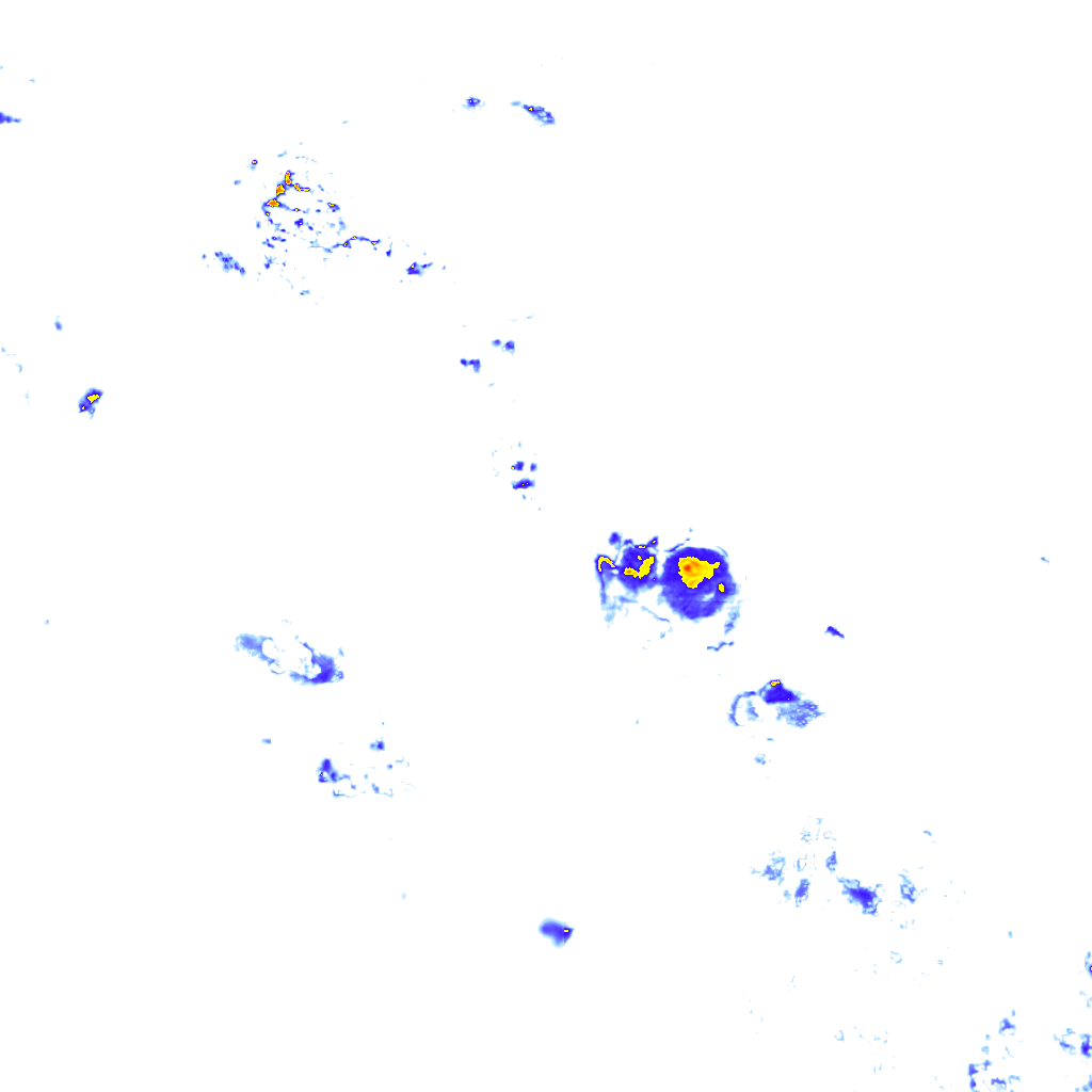rainLayer