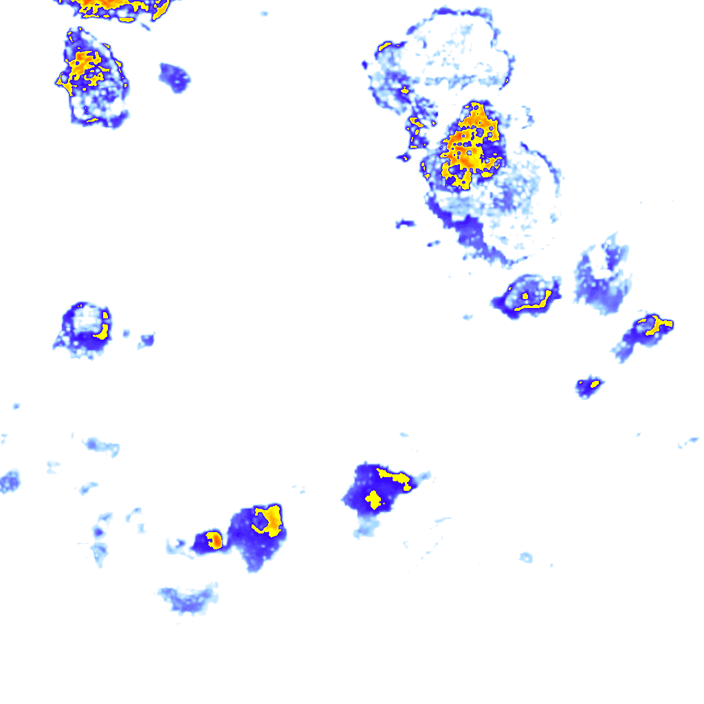 rainLayer