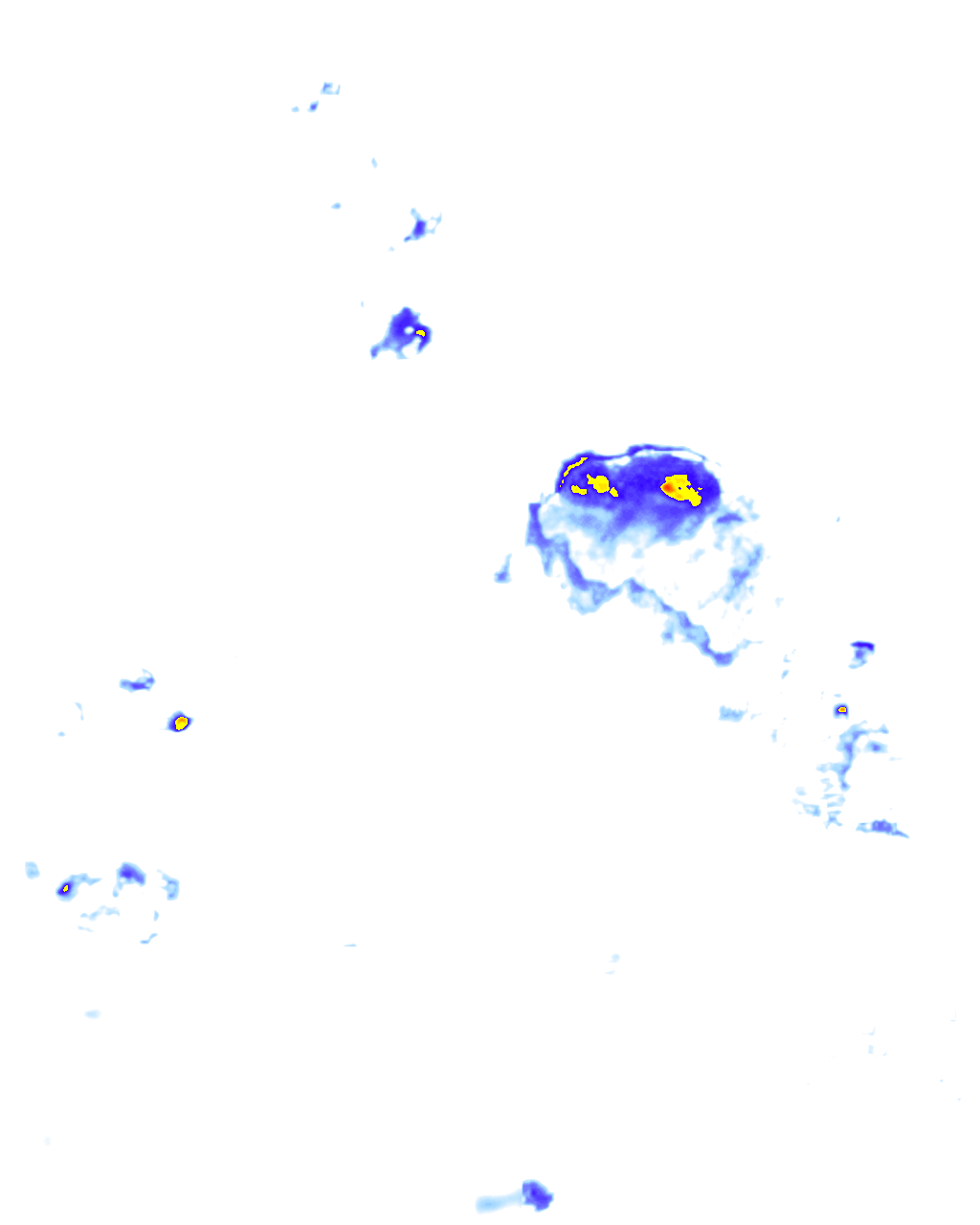 rainLayer