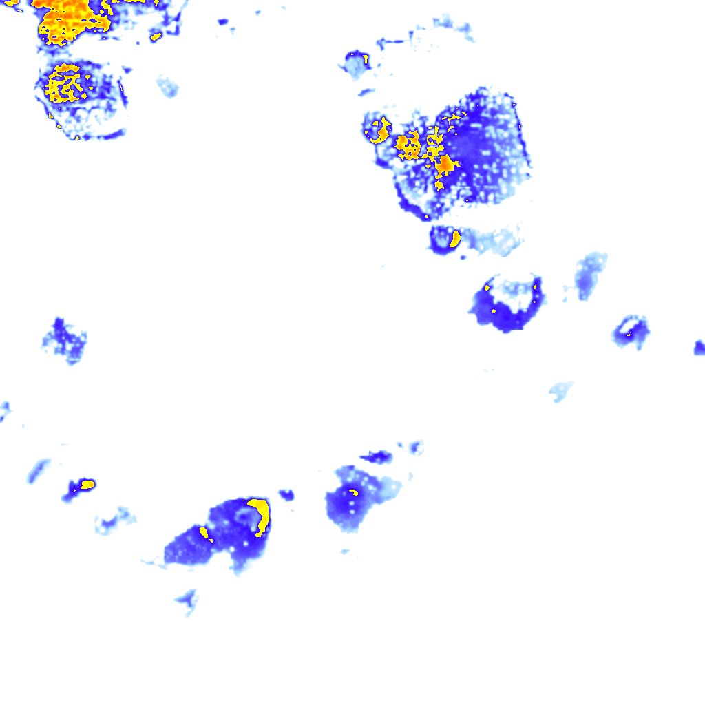 Image Layer