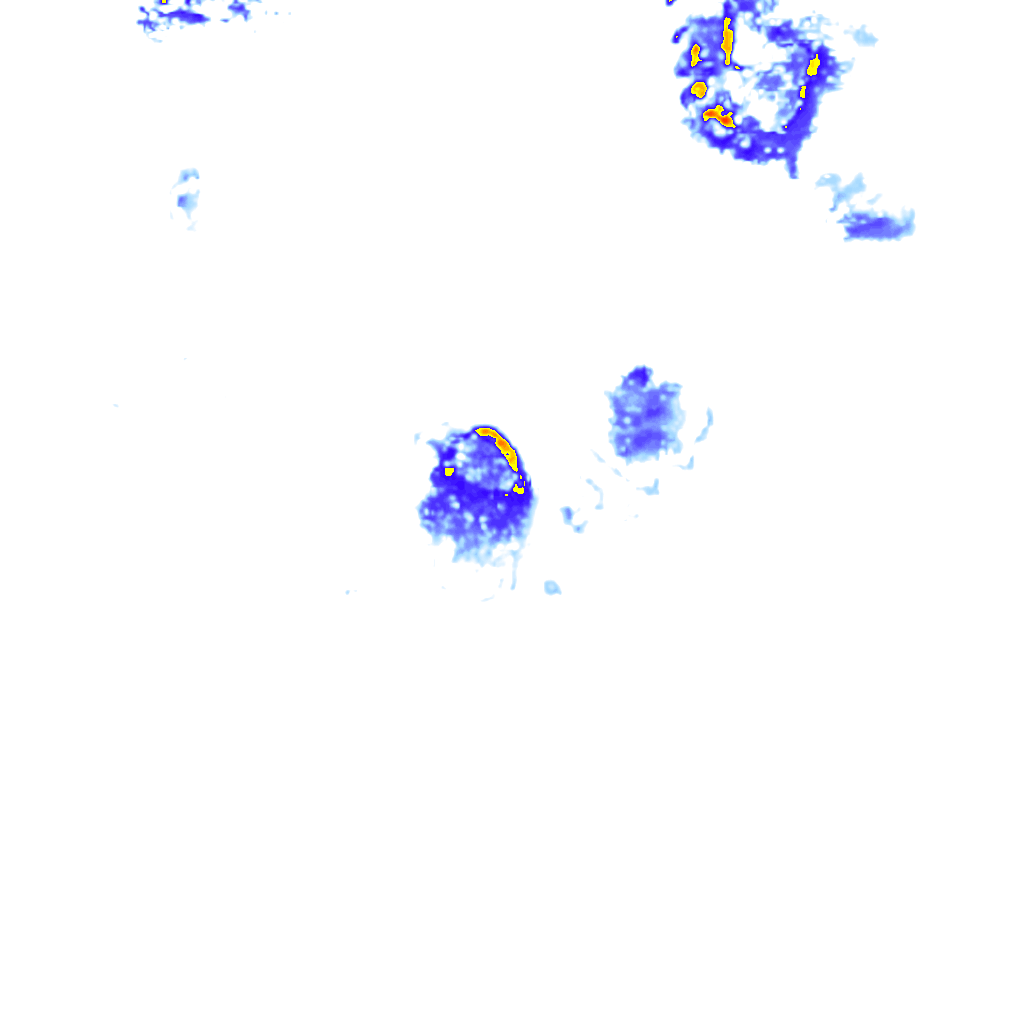 rainLayer