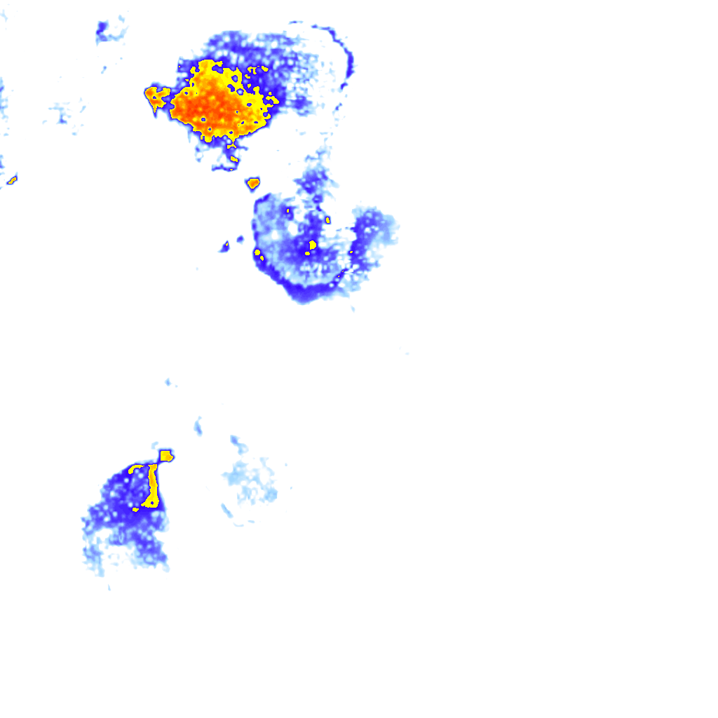 rainLayer