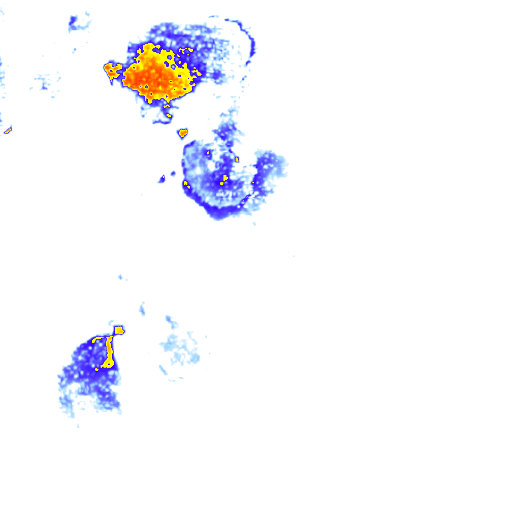 Image Layer