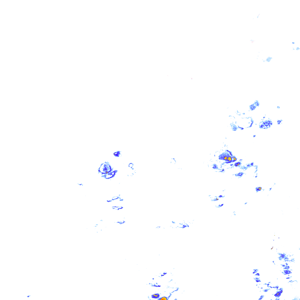 rainLayer