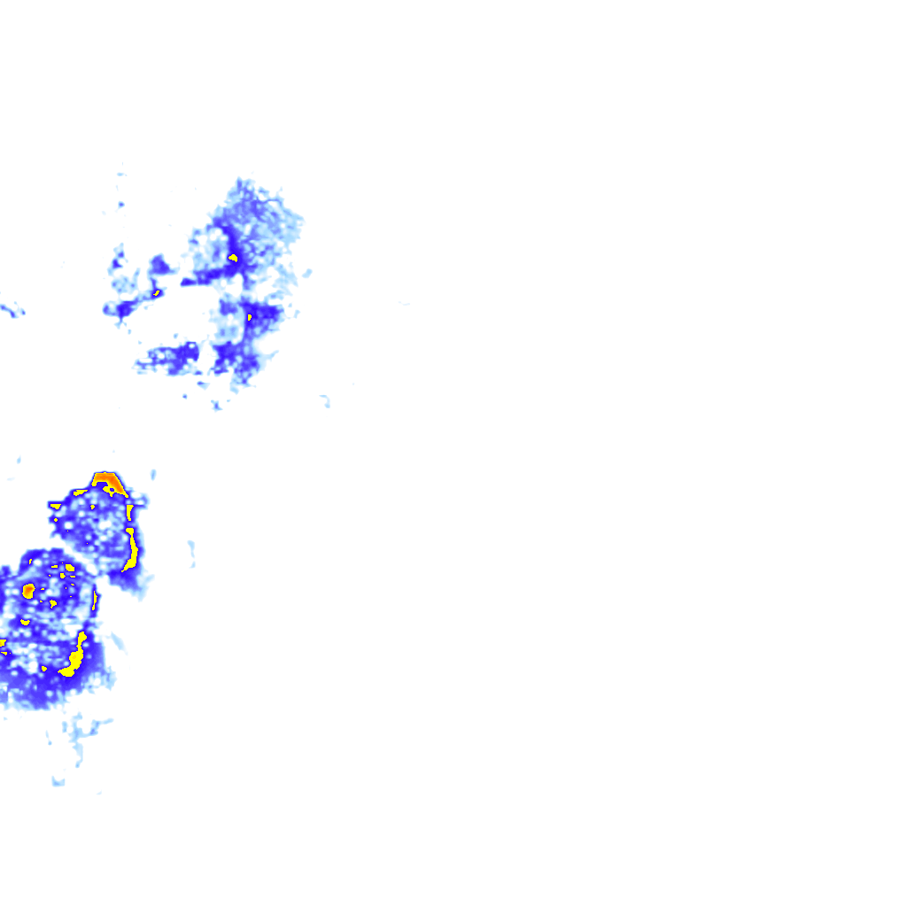 rainLayer