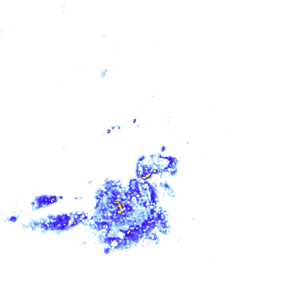rainLayer