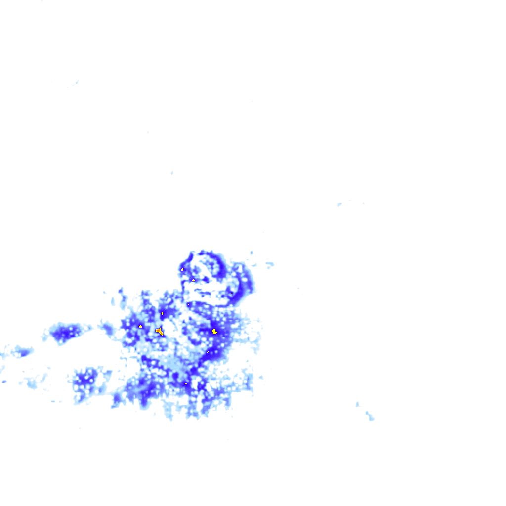 Image Layer