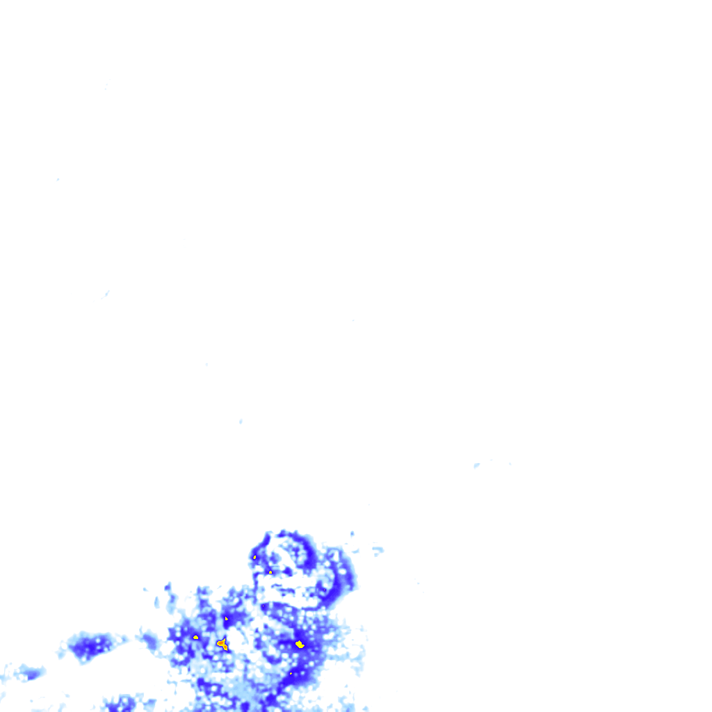 rainLayer