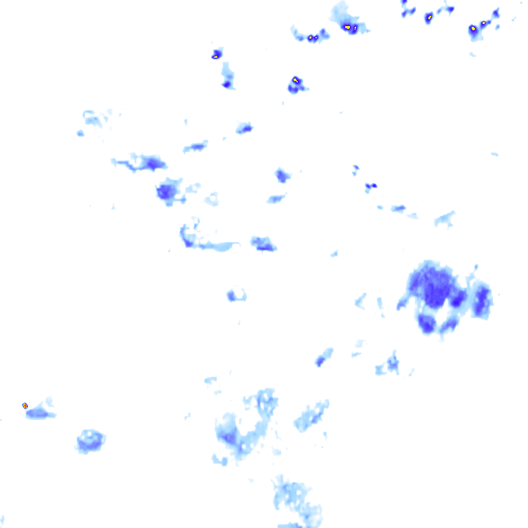 Image Layer