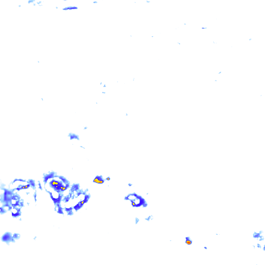 Image Layer