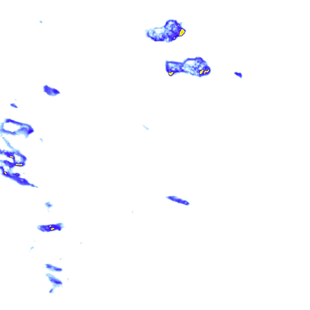 Image Layer