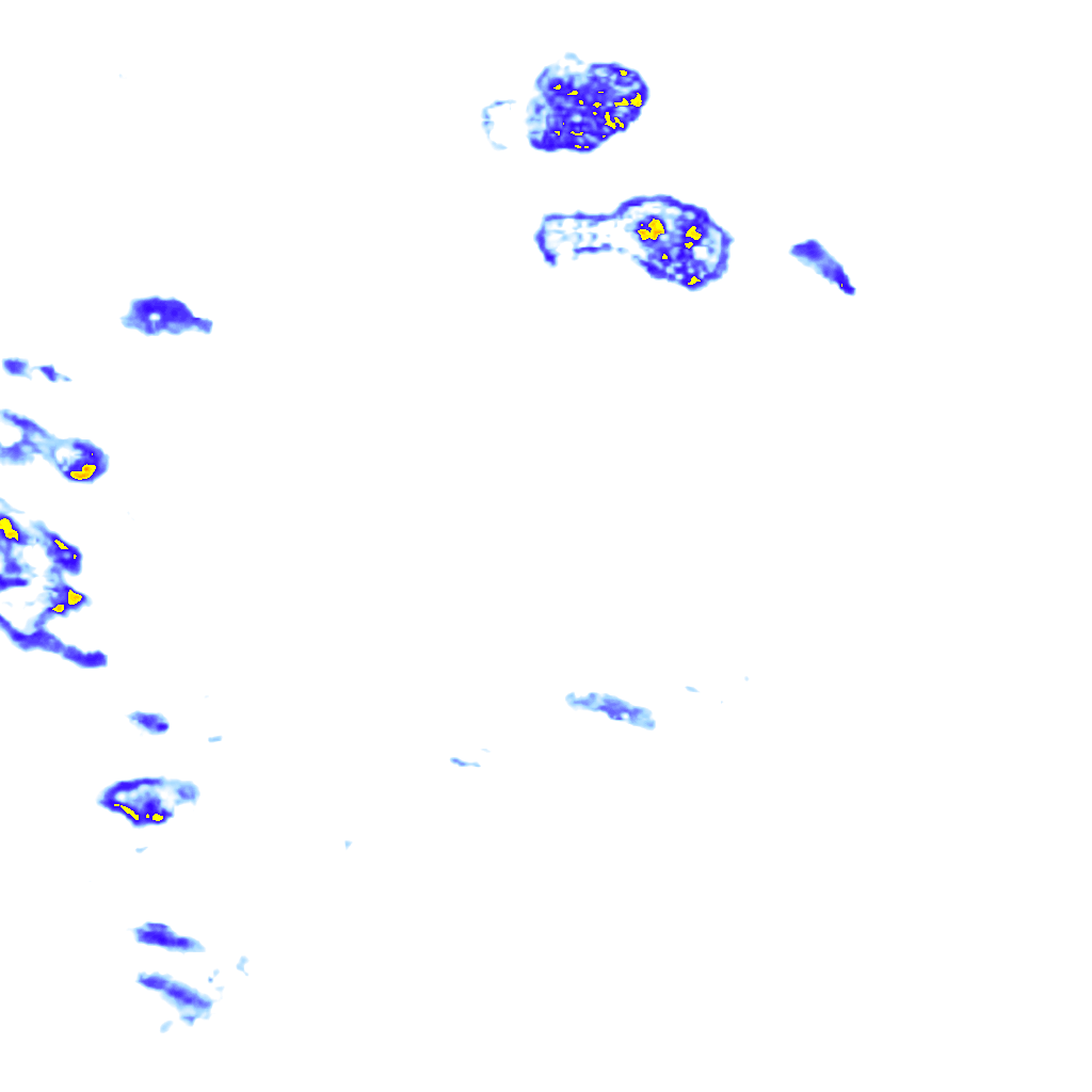rainLayer