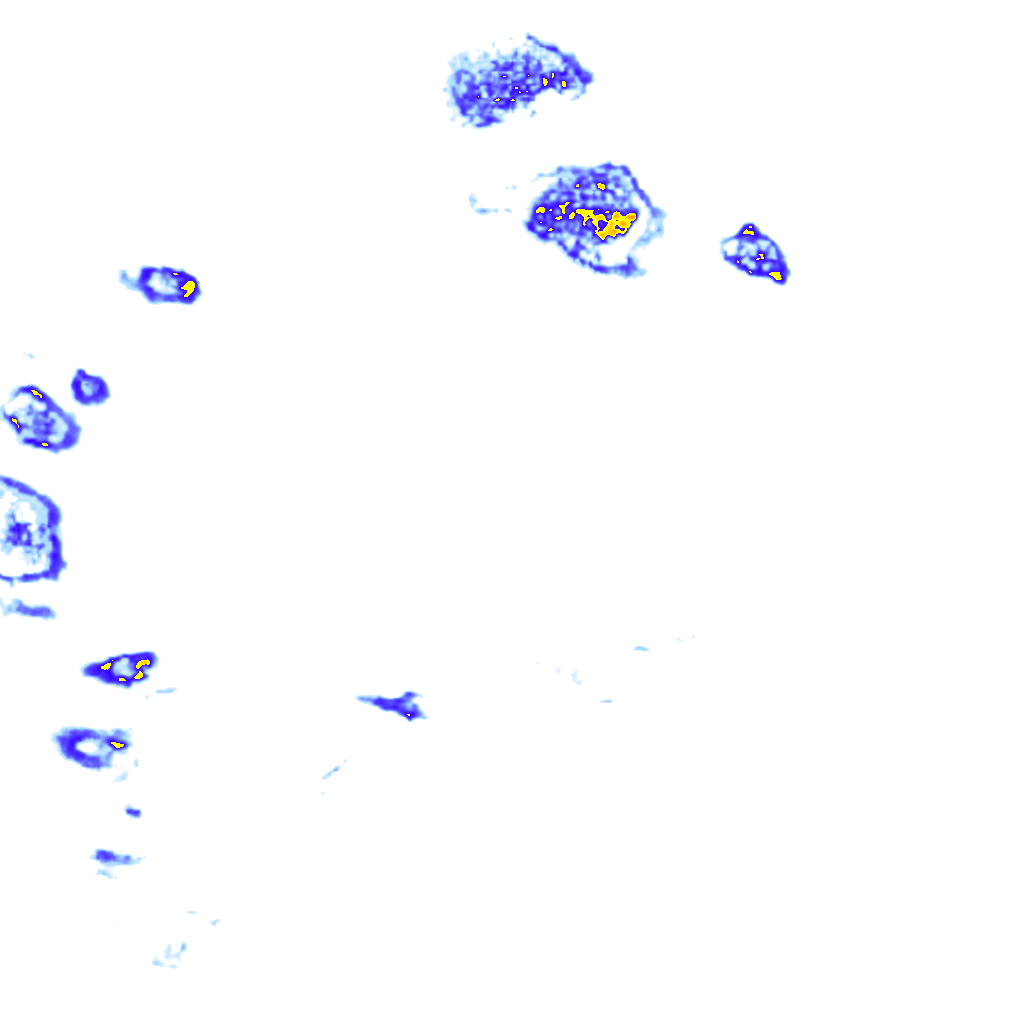 rainLayer