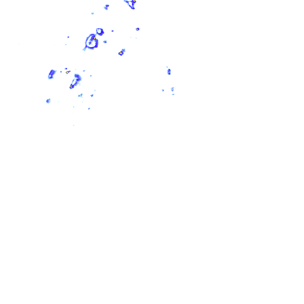 rainLayer