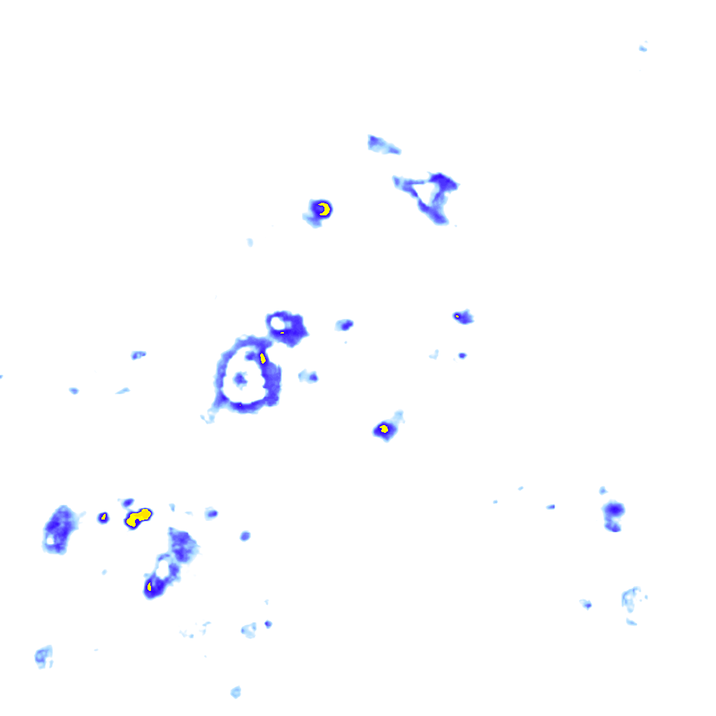 Image Layer