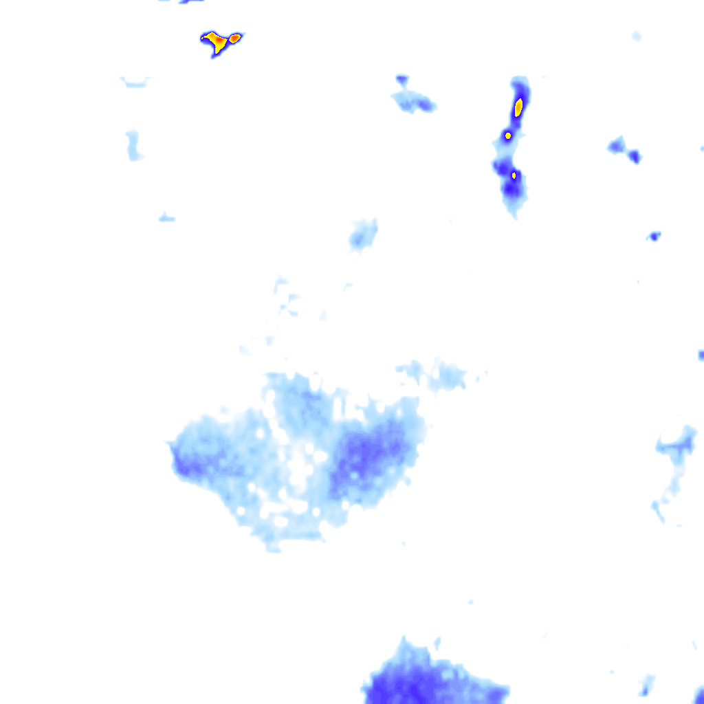 rainLayer