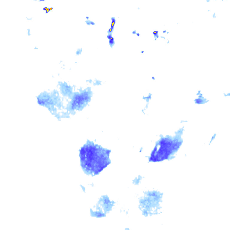 rainLayer