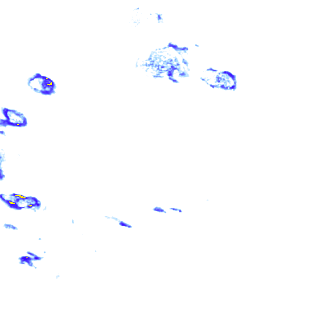 rainLayer