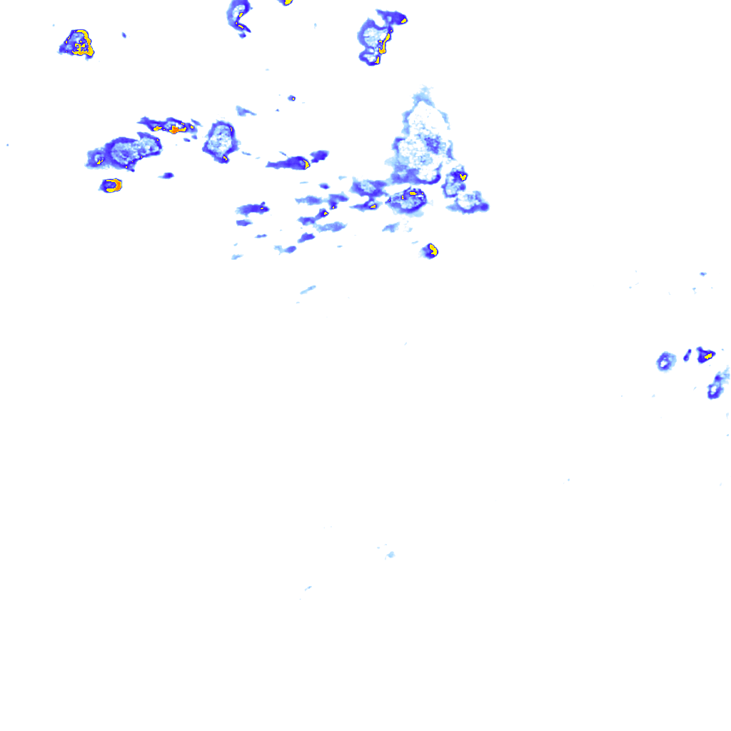 rainLayer