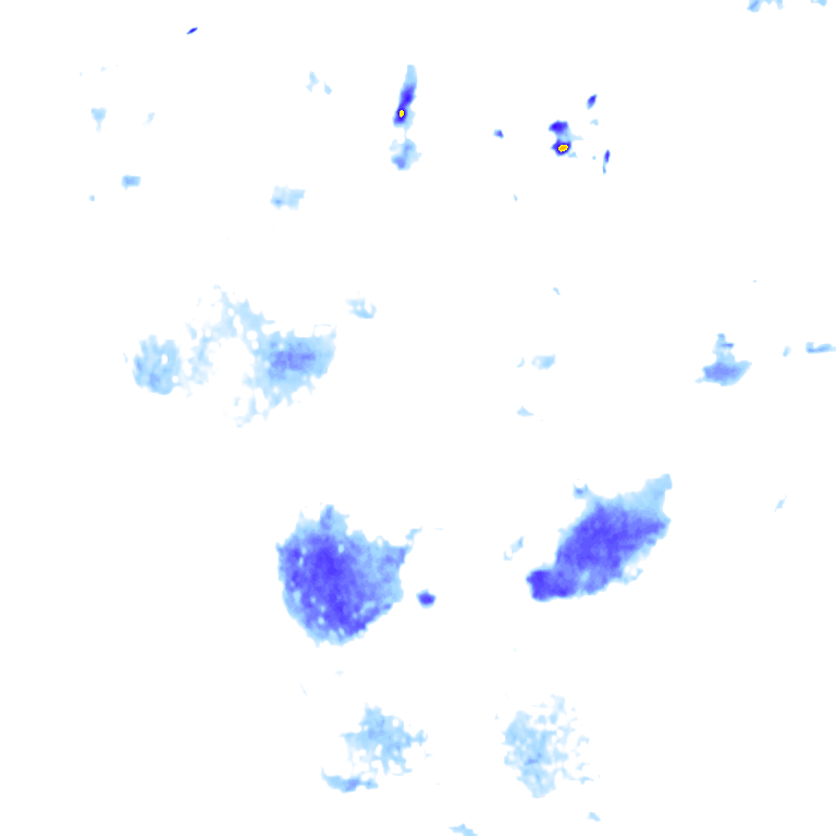 rainLayer