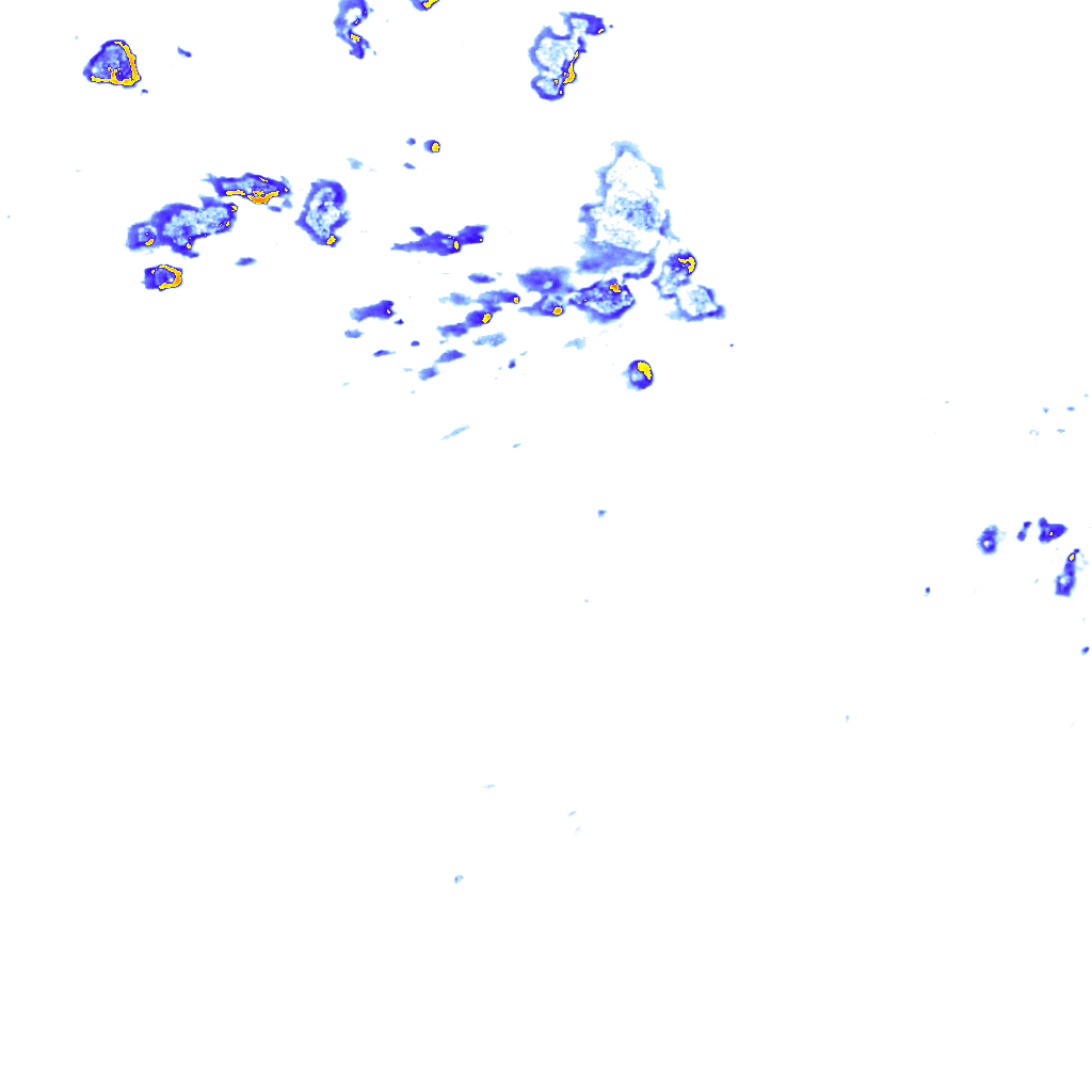 rainLayer