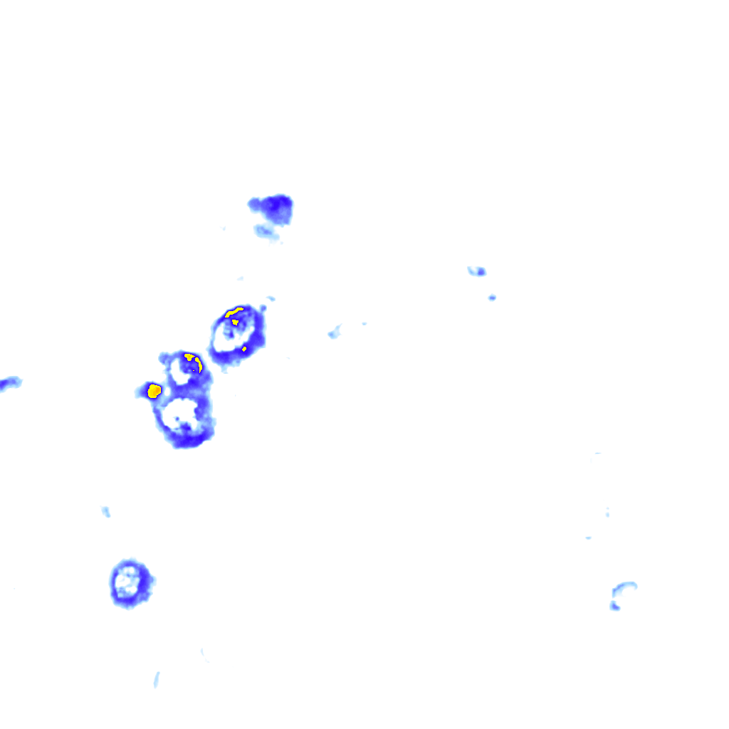 Image Layer