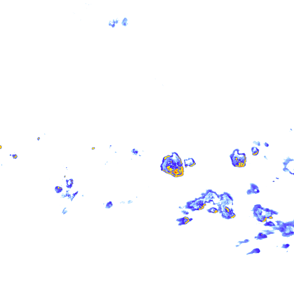 rainLayer