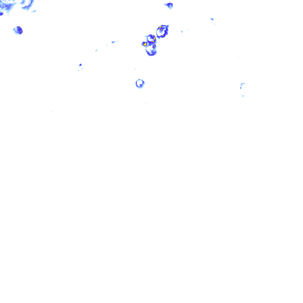 rainLayer