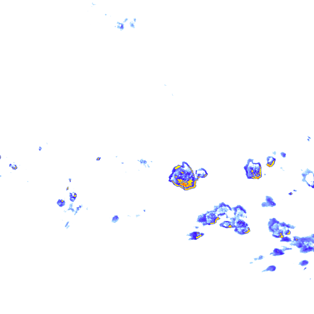 rainLayer