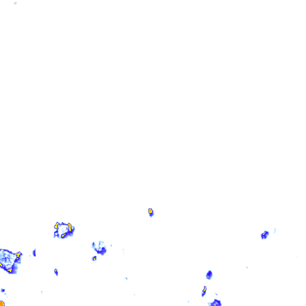 rainLayer