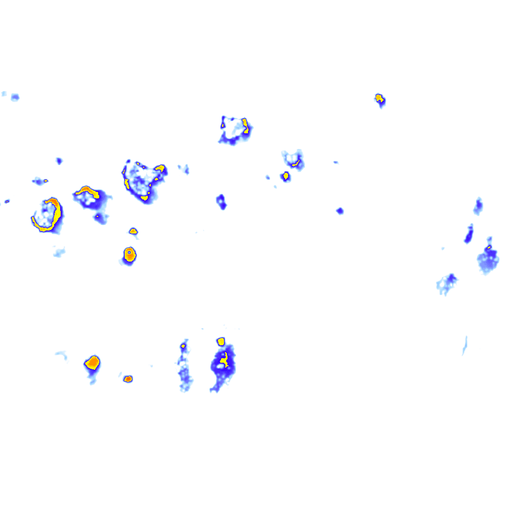 rainLayer