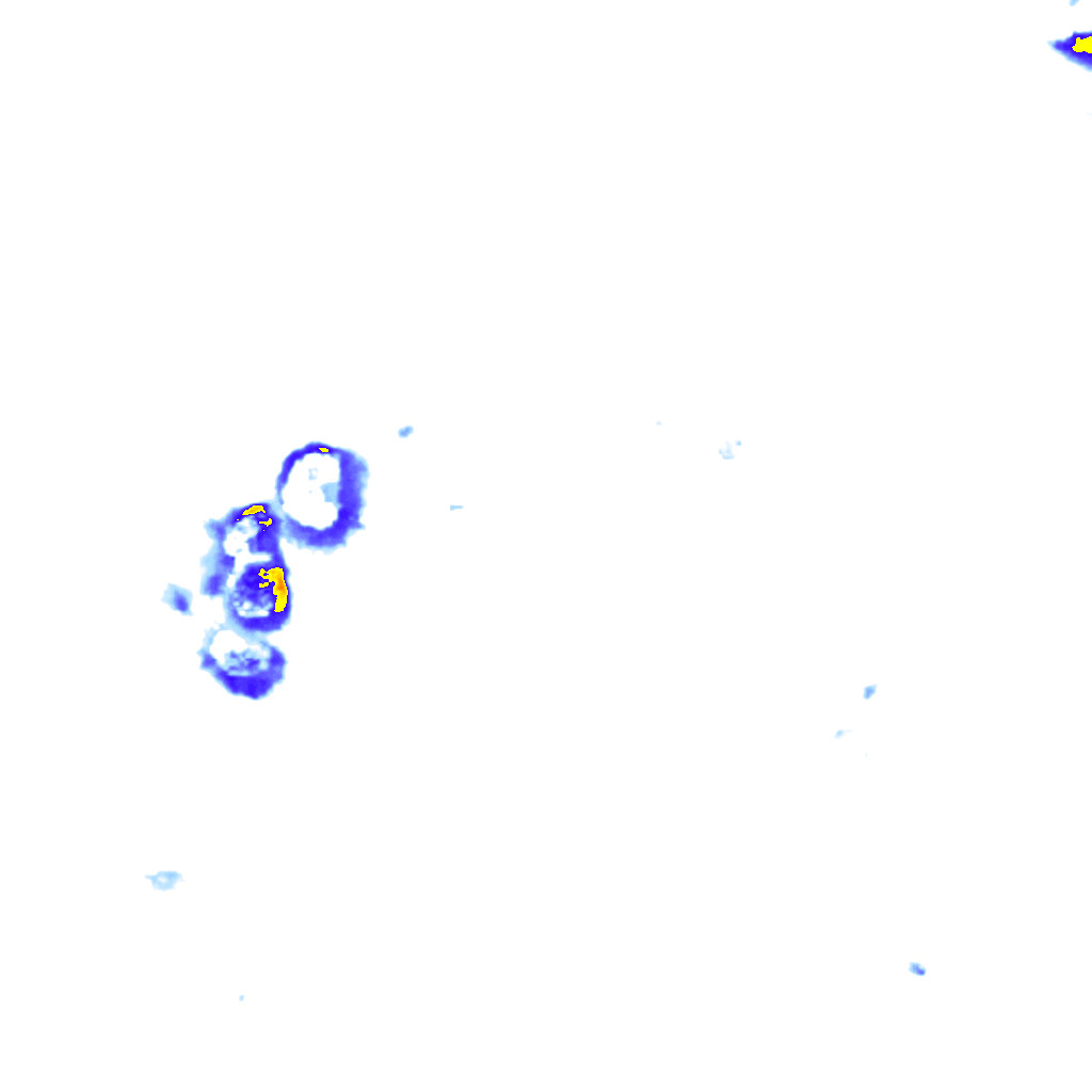 Image Layer