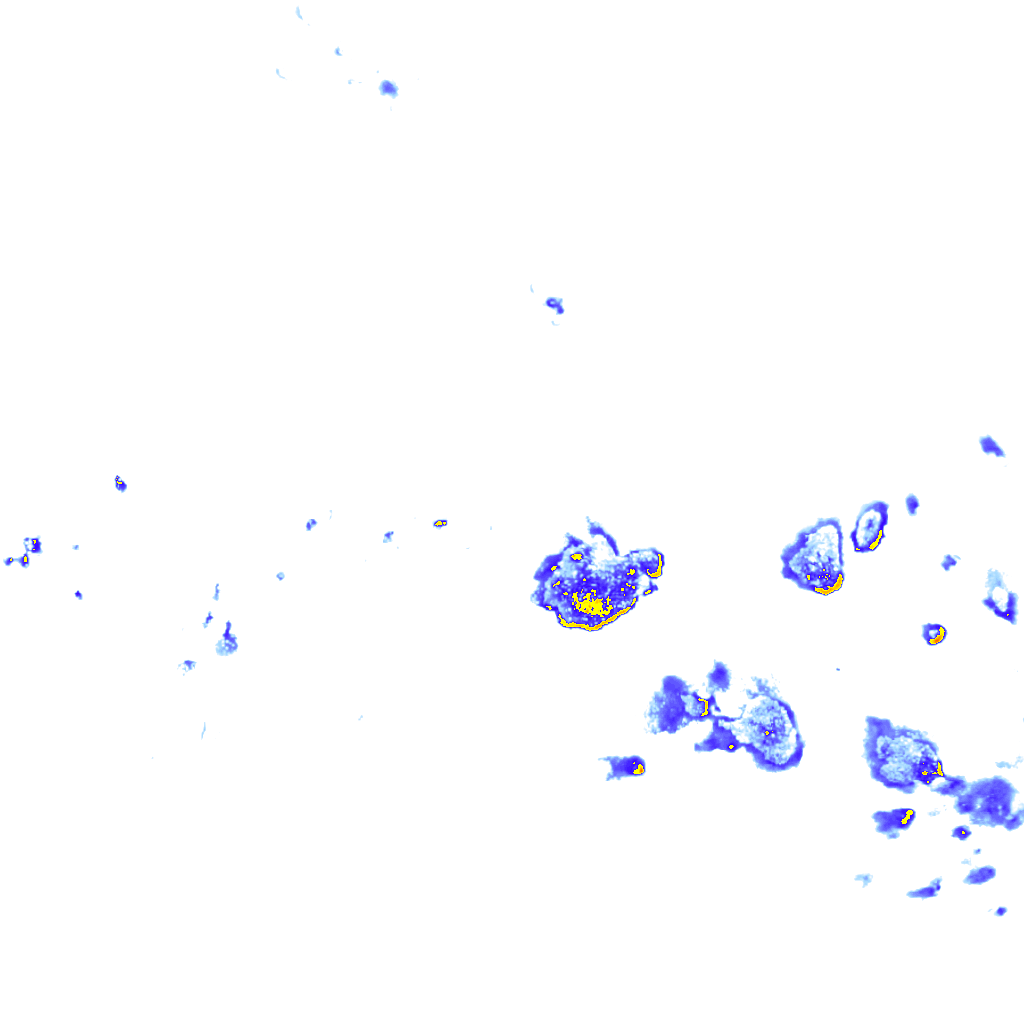 rainLayer