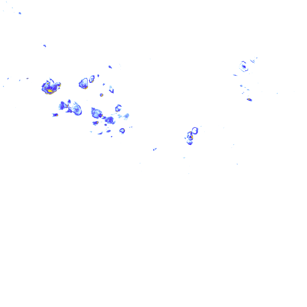 rainLayer