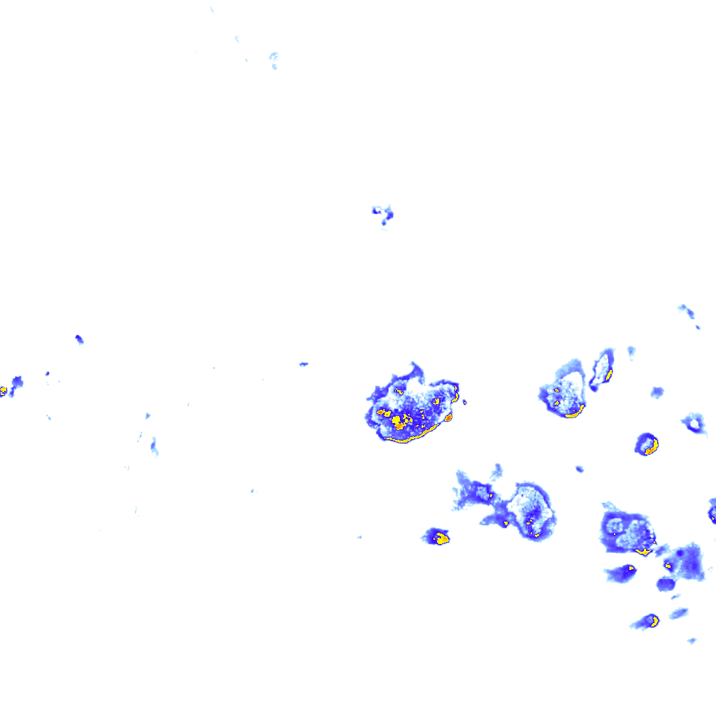 rainLayer