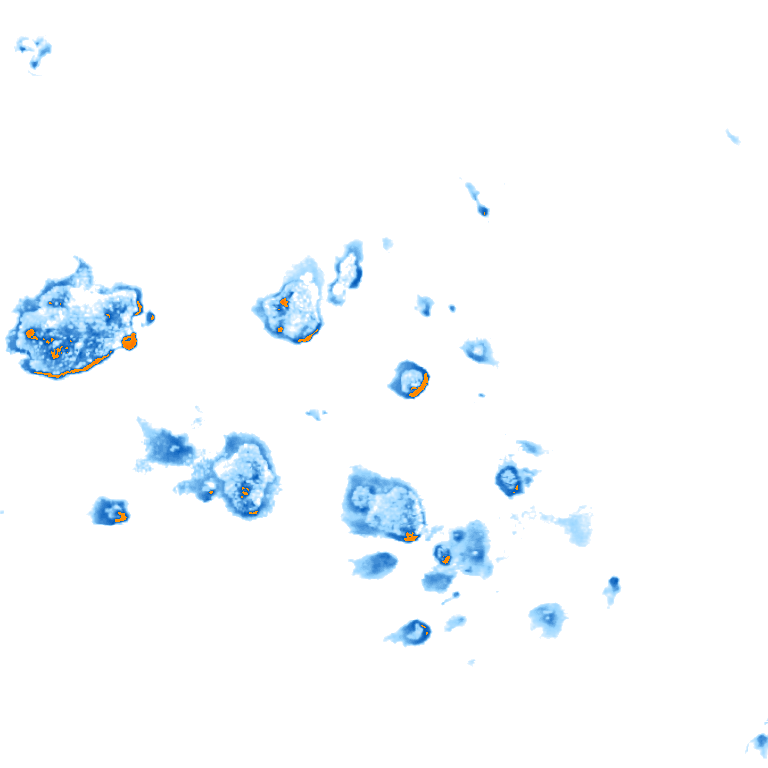 rain layer
