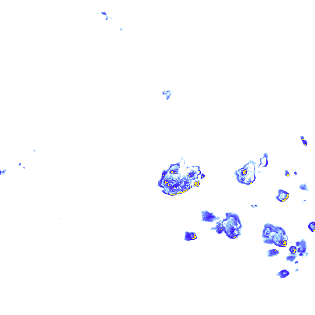 rainLayer