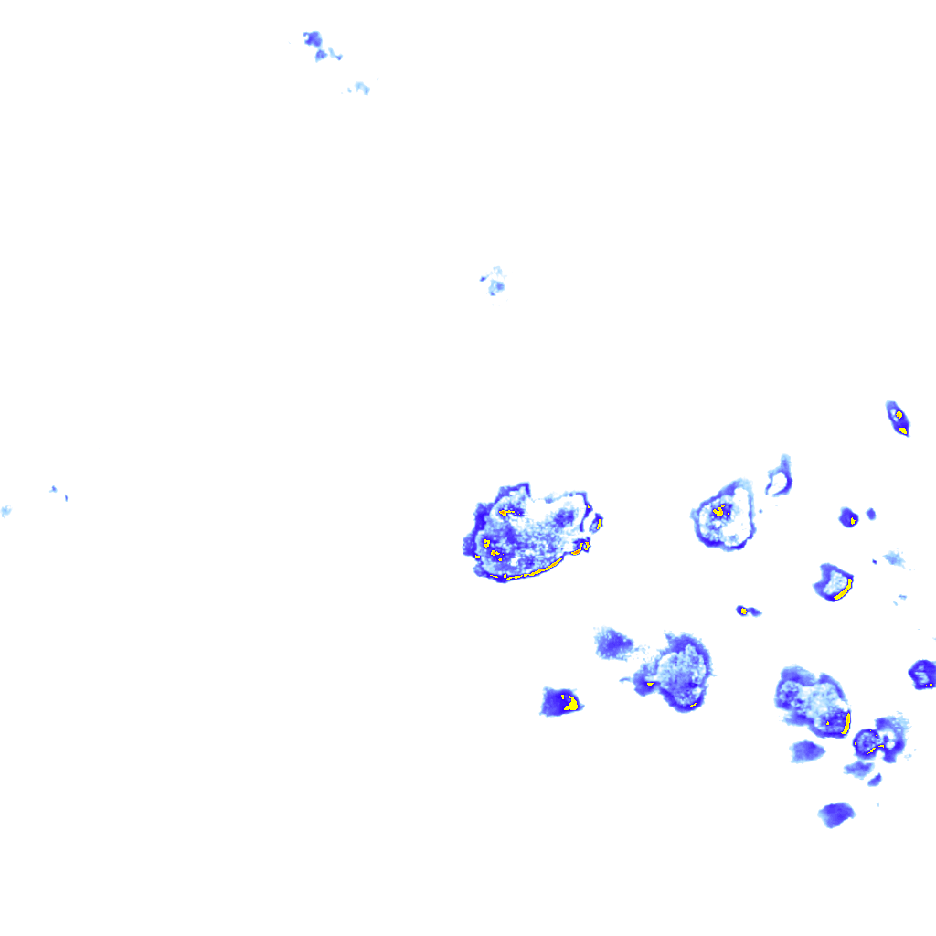 rainLayer