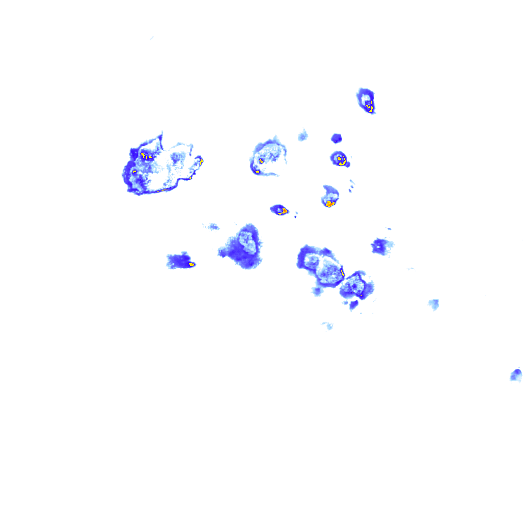 Image Layer