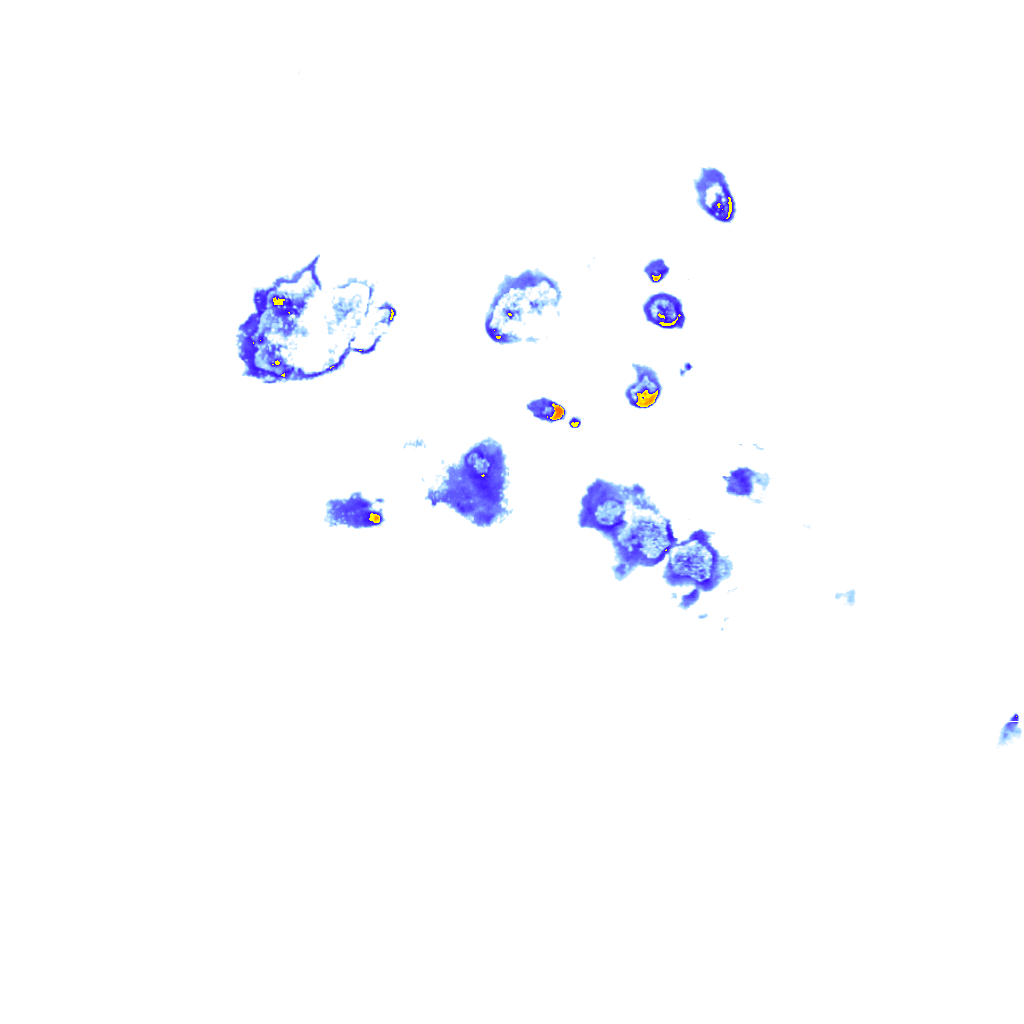 rainLayer