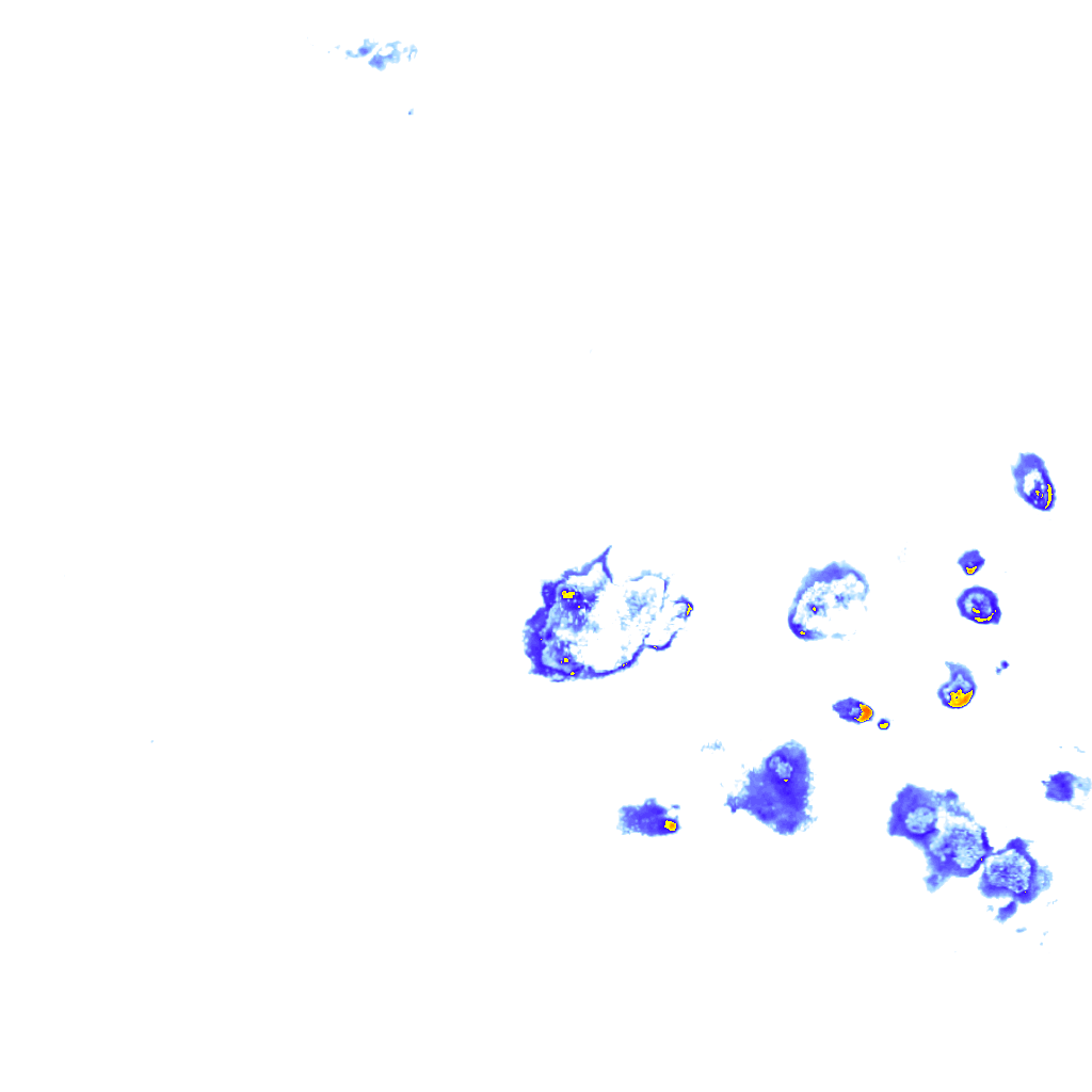 Image Layer